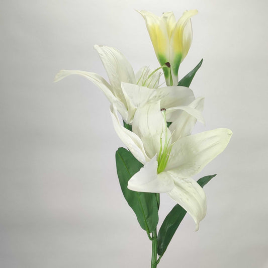 Lily White 80 cm Single Stems 